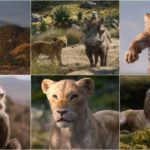 The Lion King 2019 Full HD Movie Leaked Online on TamilRockers